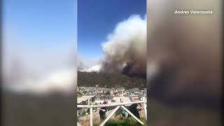 Forest fires turn deadly in Chile | REUTERS