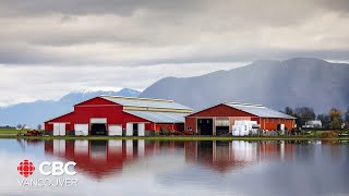More B.C. farmers reaching out for mental health support since floods