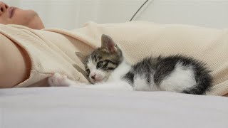 What Do Kittens Do Before Sleeping Every Night?