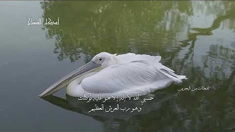 أذكار الصباح من تلفزيون البحرين - نسخة واضحة