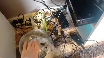 Unboxing RGH Trinity Xbox 360 Slim from Roy Hudd