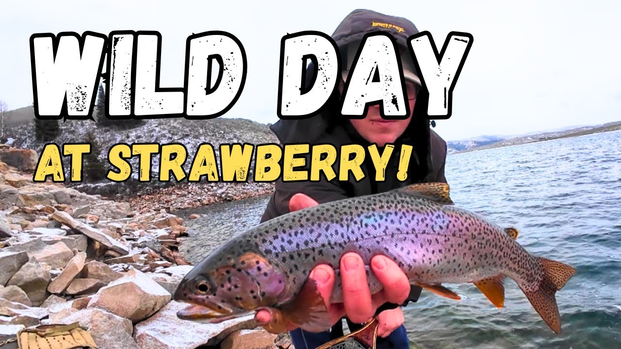 Рыбалка с берега на водохранилище Строберри: БЕЗ ЛЬДА! (Конец декабря)