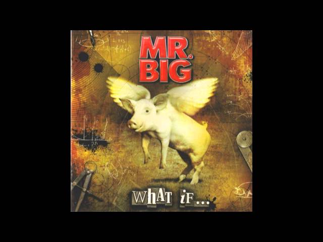 Mr. Big - Nobody Takes The Blame