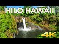 HILO HAWAII 4K