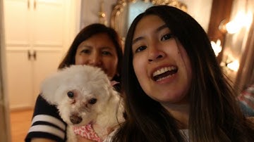 Ed 30 Multimodal Project Final