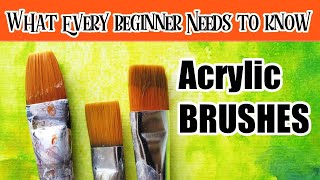 Acrylic Brushes Everything a Beginner Needs to Know and forgot to tell YOU #4 | The Art Sherpa