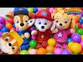 Paw Patrol Home Alone Funny Toy Learning Video for Kids!