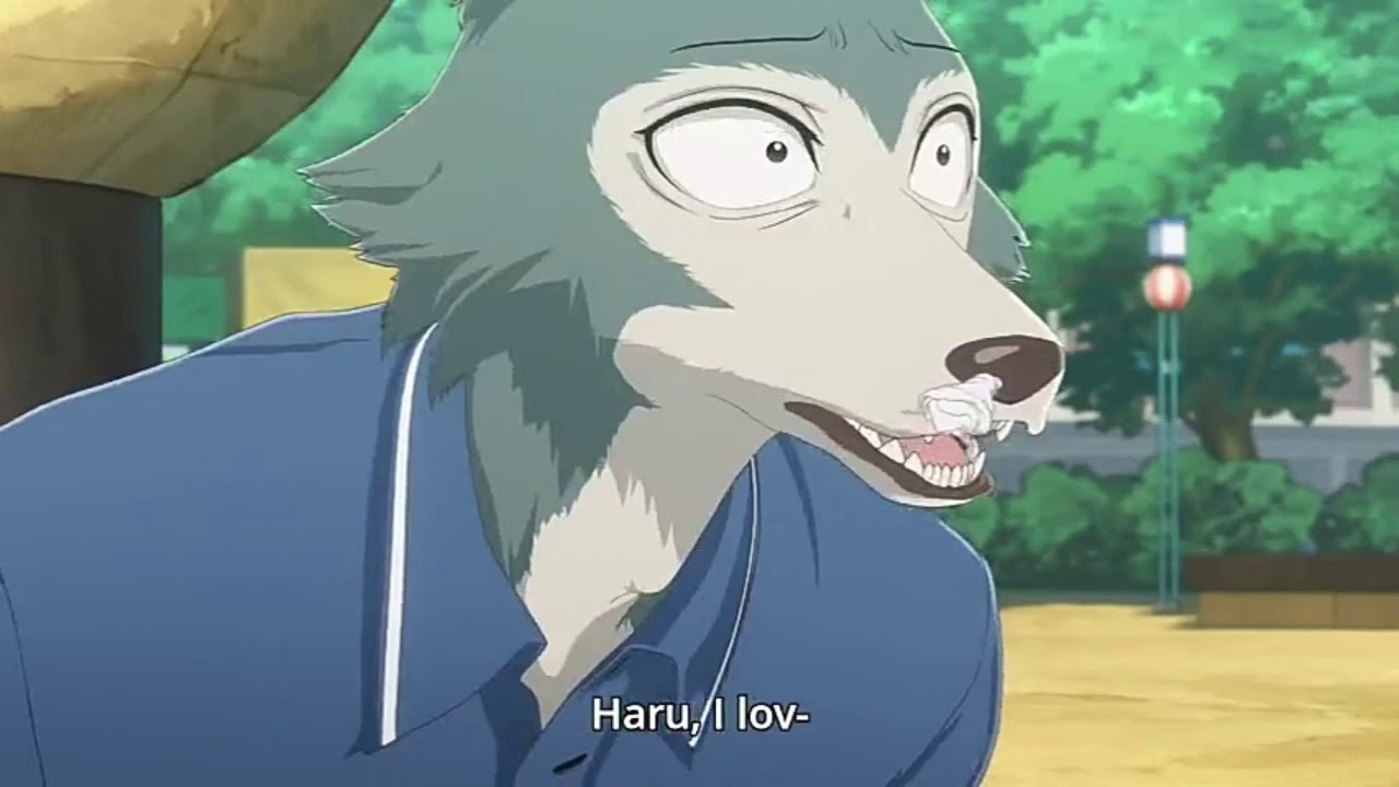 Legosi : I...I... Haru, I lov- (beastars ep.9) - YouTube