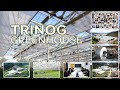 Trinogxs greenhouse 2022  turnkey solution greenhouse supplier