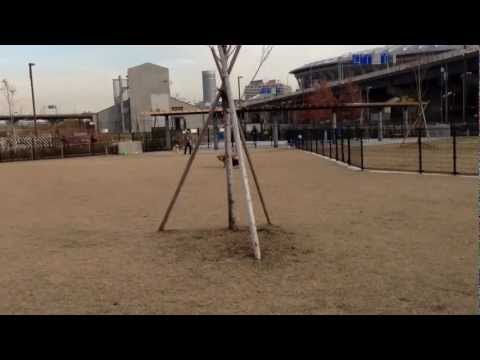 走るロンド君（バセット・ハウンド）＠新横浜公園ドッグラン