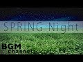 Spring night jazz music  chill jazz music for sleep study