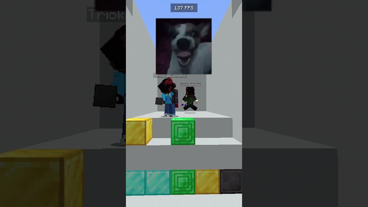 tienen zanekitis #minecraft #shorts