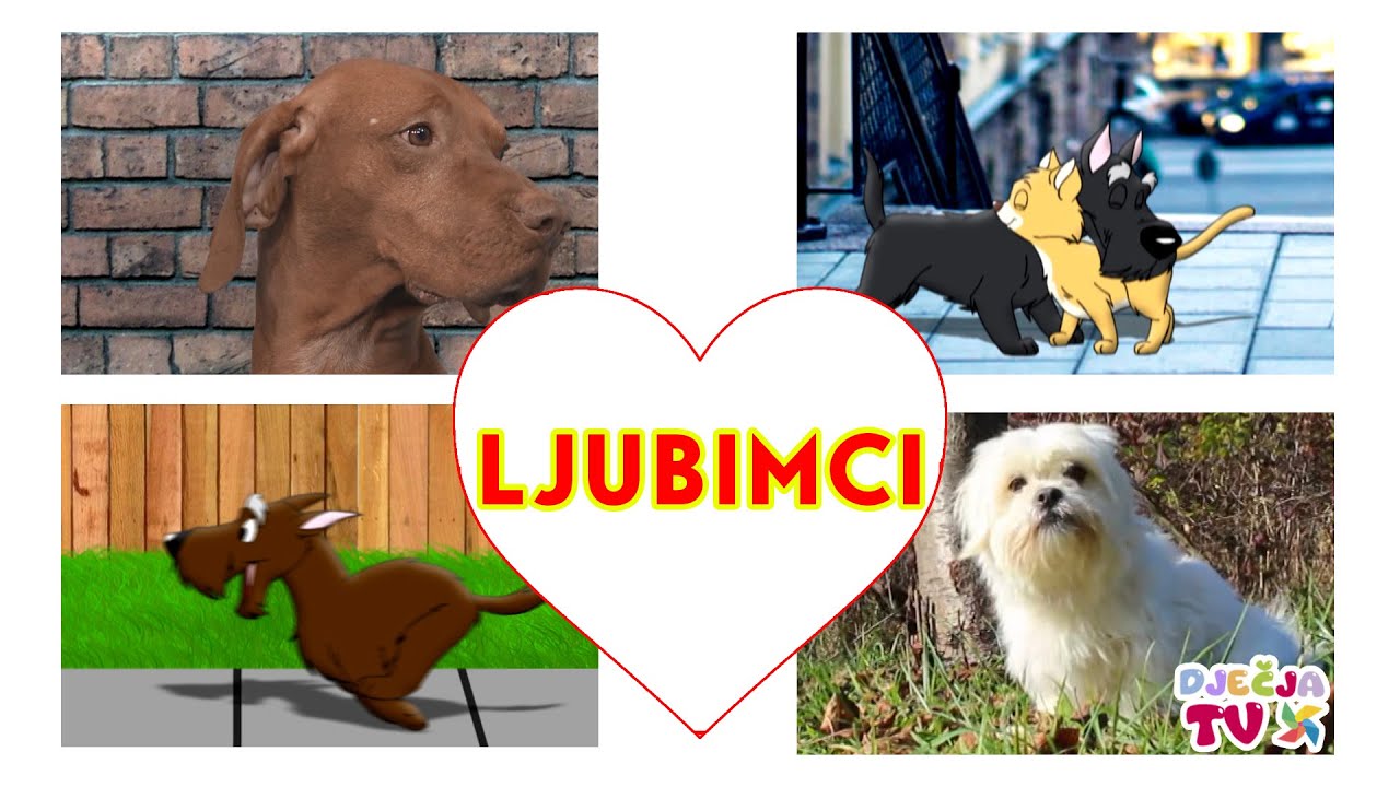 MIX PJESAMA O LJUBIMCIMA