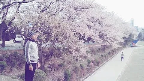 Darling 西野カナ Mp3 Darling 西野カナ Mp3