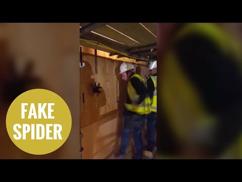 builder-pranks-colleague-with-massive-fake-spider