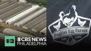 Delaware hopes to tackle the issue of avian influenza with new legislation