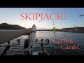 Skipjack Fishing, Tennessee River