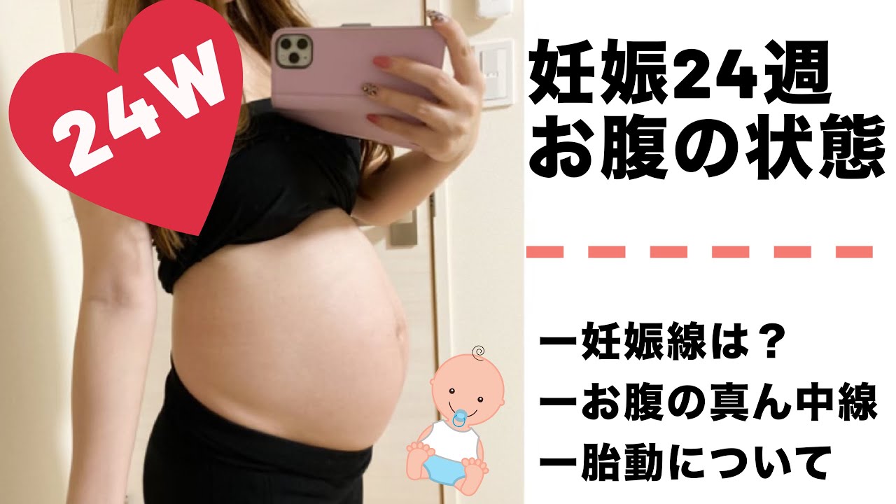 妊娠24週 7ヶ月のお腹の様子 正中線が目立ち始めました youtube
