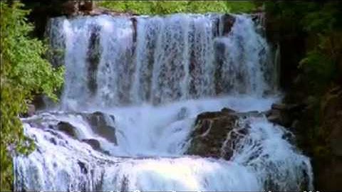 Surat Al-jumu'ah Saad Alghamdi سورة الجمعة الشيخ سعد الغامدي