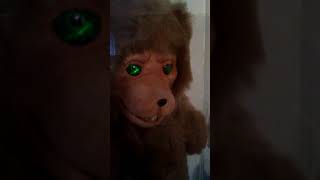 demonic toys grizzly teddy