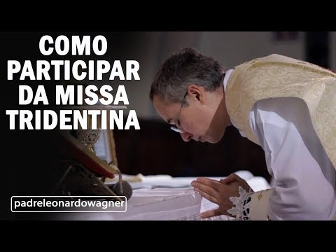 Vídeo: O que significa leonard em latim?