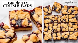 Famous The BEST Raspberry Crumb Bars Net Worth