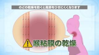 ナノリフレ空清」｜コロナ - YouTube