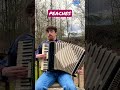 Peaches from the super mario bros movie on accordion 