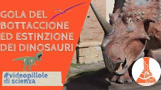 La gola del Bottaccione e lestinzione dei dinosauri