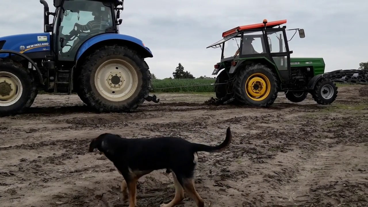 Przeciąganie liny  New Holland T 6120 Vs Ursus C- 360 z napędem 4X4 !!