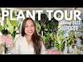 300 plant tour update  how did i take care of my plants after leaving them for a month 