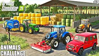 New Beginning, Huge Plans!│FS25 Timelapse Animals Challenge Pichonnière Ep3│Farming Simulator 25
