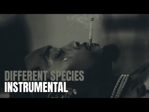 Offset Different Species Instrumental Ft Gunna