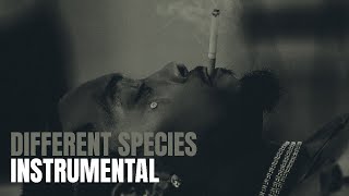 Offset  Different Species instrumental Ft Gunna