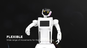 EXCLUSIVE SNEAK PEEK at the Next-Gen B2B robot, Sanbot Max!