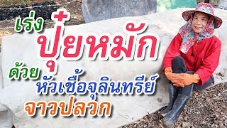 วิธีเลี้ยงจุลินทรีย์จาวปลวก ทำอย่างไร ให้อะไรเป็นอาหาร, @ครูสวัสดิ์พาทํา ทําไปเรื่อย