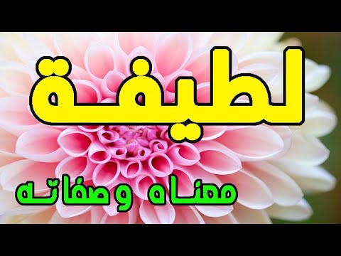 فيديو: ما هي الأسماء المستعارة اللطيفة للفتاة؟