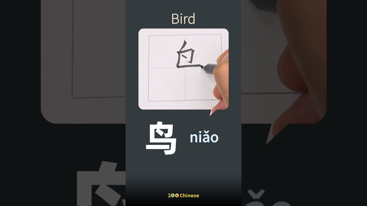 How to write Bird in Chinese in 10 seconds #shorts #education
