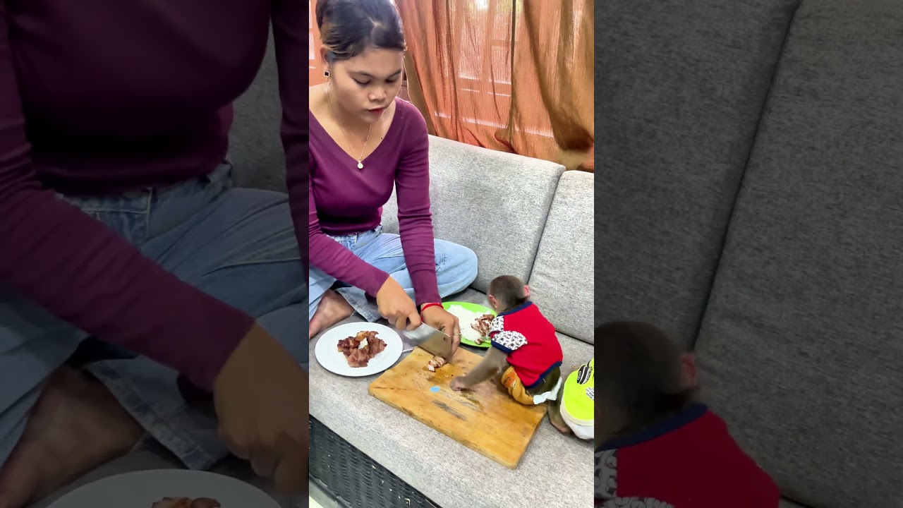 "Monkey Enjoys His Delicious Meal"