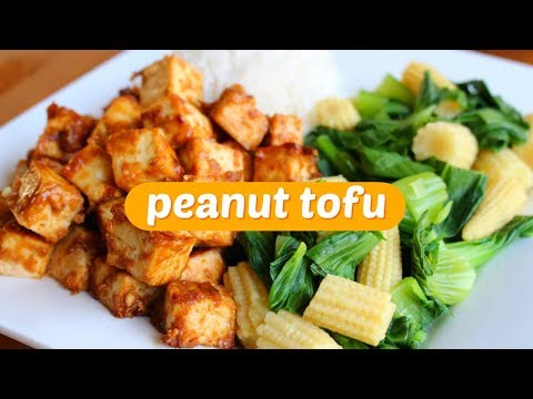 Easy Tofu Recipe  Baked Peanut Tofu Vegan