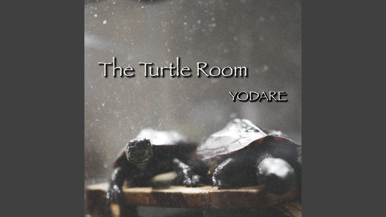 The Turtle Room