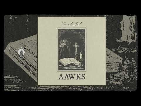 AAWKS - Cursed Soul   **including lyrics**