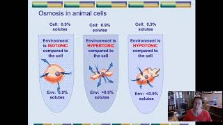 Osmosis lab 1  intro