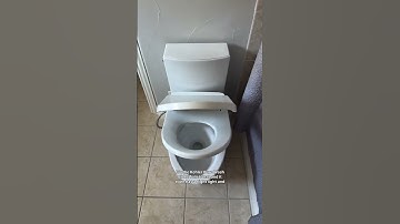 Once you have a bidet, you won’t go back! This is the PureWash E875 #viral#shorts#shortsfeed#costco