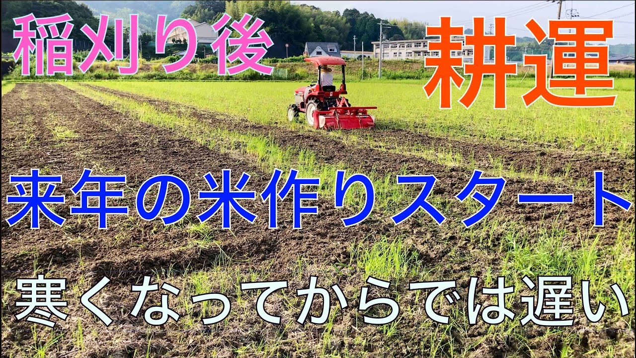 【2024 米作り1】次の米作りは暖かいうちに藁のすき込みから始まるぞ - YouTube