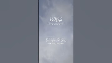 راحة نفسية 🖤🎧 #سورة #المصحف #اكسبلور #راحة_نفسية #قران_كريم #لايك #الرحمن