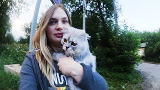 влог: КОТ КЕВИН ПУТЕШЕСТВУЕТ! В МАГАЗИНЕ ВЫПРОСИЛ ВКУСНЯШКИ! влог: КОТ КЕВИН ПУТЕШЕСТВУЕТ! В МАГАЗИНЕ ВЫПРОСИЛ ВКУСНЯШКИ!