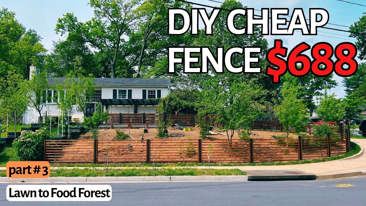 How to build a beautiful easy DIY Fence. For Cheap. My Lawn to Food ...