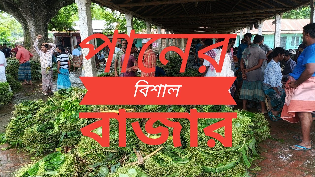 পানের বাজার |Bheramara Kushtia|Bangladeshi Pan bazar | - YouTube