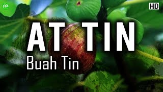 Quran Surat At Tin (Buah Tin) - Syeikh Abdurrahman Al Ausy - English Translation